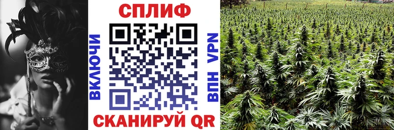 закладка  Большой Камень  Шишки марихуана конопля 